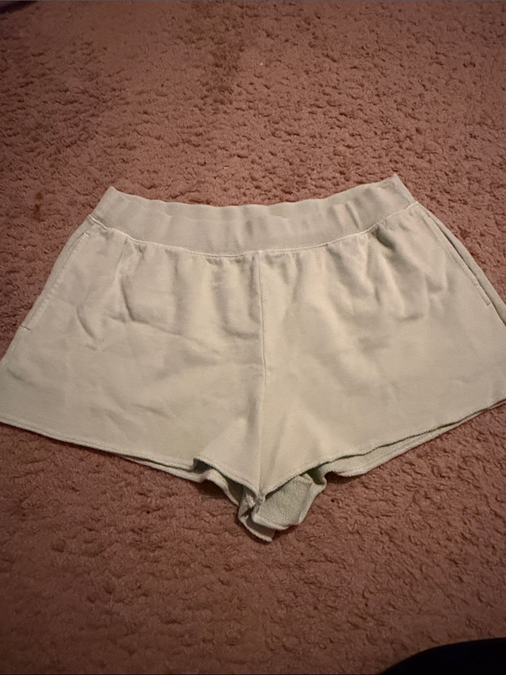 aerie alumni light mint green athletic shorts